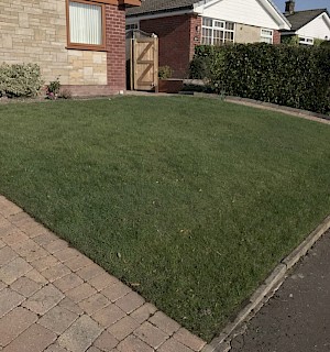 Grass before cut