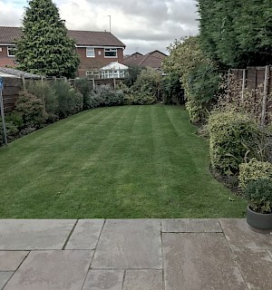 Lawn before cut