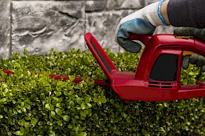 Commercial Hedge Trimming