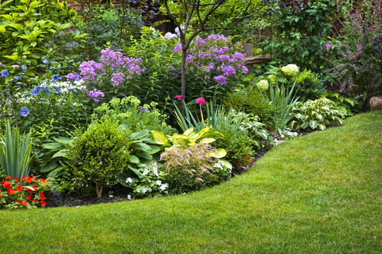 Residential Garden Services